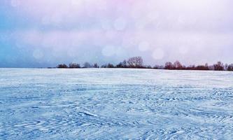 forest in the frost. Winter landscape. Snow covered trees. photo