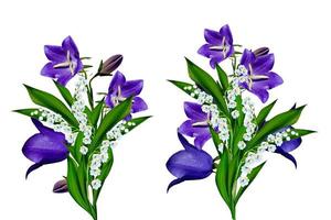 blue flowers campanula isolated on white background photo