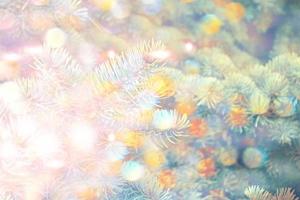 forest in the frost. Winter landscape. Snow covered trees. photo