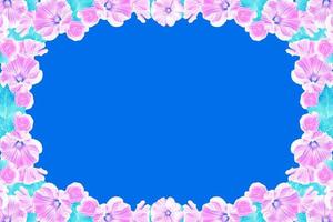 Floral background. Pink petunia flowers isolated on blue background. photo