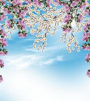 Flowering branch of apricot photo