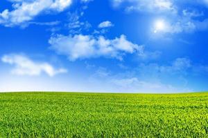 Meadow with green grass on a background of blue sky with clouds photo