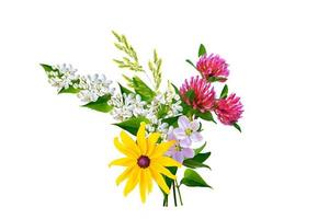 Floral background. Wildflowers isolated on a white background. Bouquet of flowers. photo