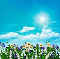 daisy flowers and bells on a background of blue sky with clouds photo