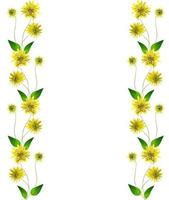 Dahlia flower isolated on white background photo