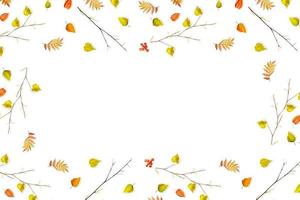 autumn leaves isolated on white background. photo