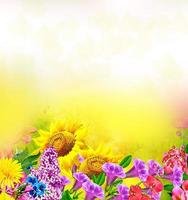 hermosas flores multicolores. foto