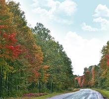 Road in an autumn forest with colorful trees. Landscape. photo