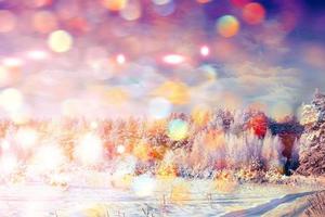 forest in the frost. Winter landscape. Snow covered trees. photo