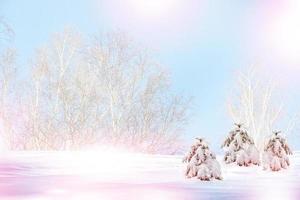 Snowfall in the forest.  winter landscape photo