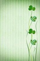 Green clover leaves on a background summer landscape photo