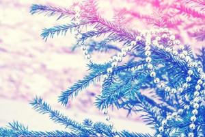 Festive Christmas winter background. photo