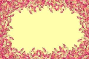 Colorful autumn foliage isolated on yellow background. Indian summer. photo