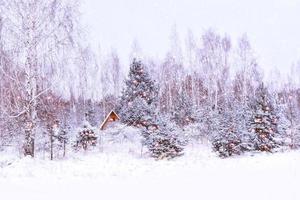 Village in winter snow covered forest. Holiday card. photo