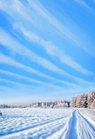 bosque en la escarcha. paisaje de invierno árboles cubiertos de nieve. foto