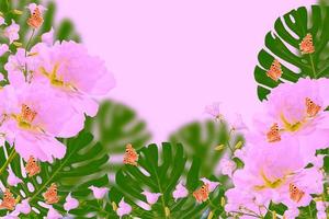 Floral natural background of bright colorful flowers photo