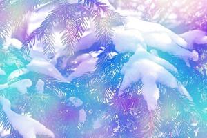forest in the frost. Winter landscape. Snow covered trees. photo