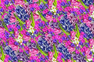 floral background. Bright and colorful flowers. photo