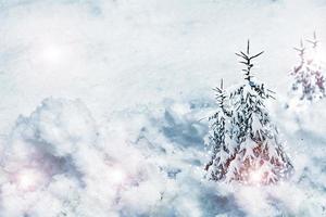 Winter. Christmas card. photo