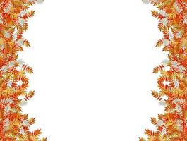 Colorful autumn foliage isolated on white background. Indian summer. photo