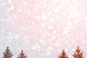 Frozen winter forest with snow covered trees. photo