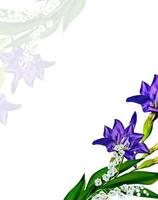 Blue iris flower isolated on white background photo