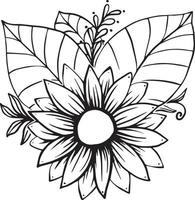 Sunflower line art Sunflower flower vector drawing set. Hand-drawn illustration isolated on white background. Vintage-style botanical sketch.