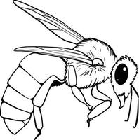 conjunto de abejorros. ilustración vectorial dibujada a mano. dibujo vectorial de abeja de árbol. boceto de insecto dibujado a mano aislado en blanco. ilustraciones de abejorros estilo grabado. vector