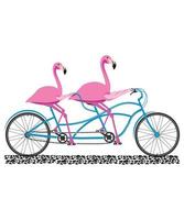 Flamingo cycling vector art