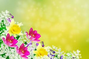 Bright and colorful spring flowers. Floral background. photo