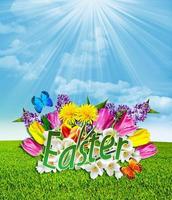 Easter card. Flowers and butterflies. photo