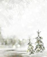 forest in the frost. Winter landscape. Snow covered trees. photo