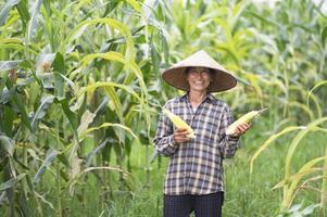 Female farmer with corn harvest corn farmer corn planting organic farming, agricultural land photo