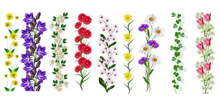 Sprigs of flowers isolated on white background. photo