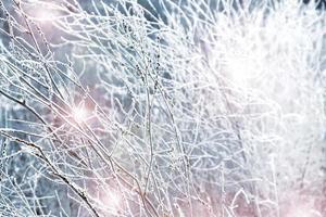 abstract background of frozen grass photo