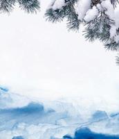 forest in the frost. Winter landscape. Snow covered trees. photo