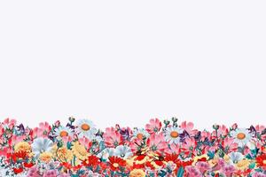 Bright colorful flowers isolated on white background. photo