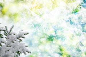 forest in the frost. Winter landscape. Snow covered trees. photo