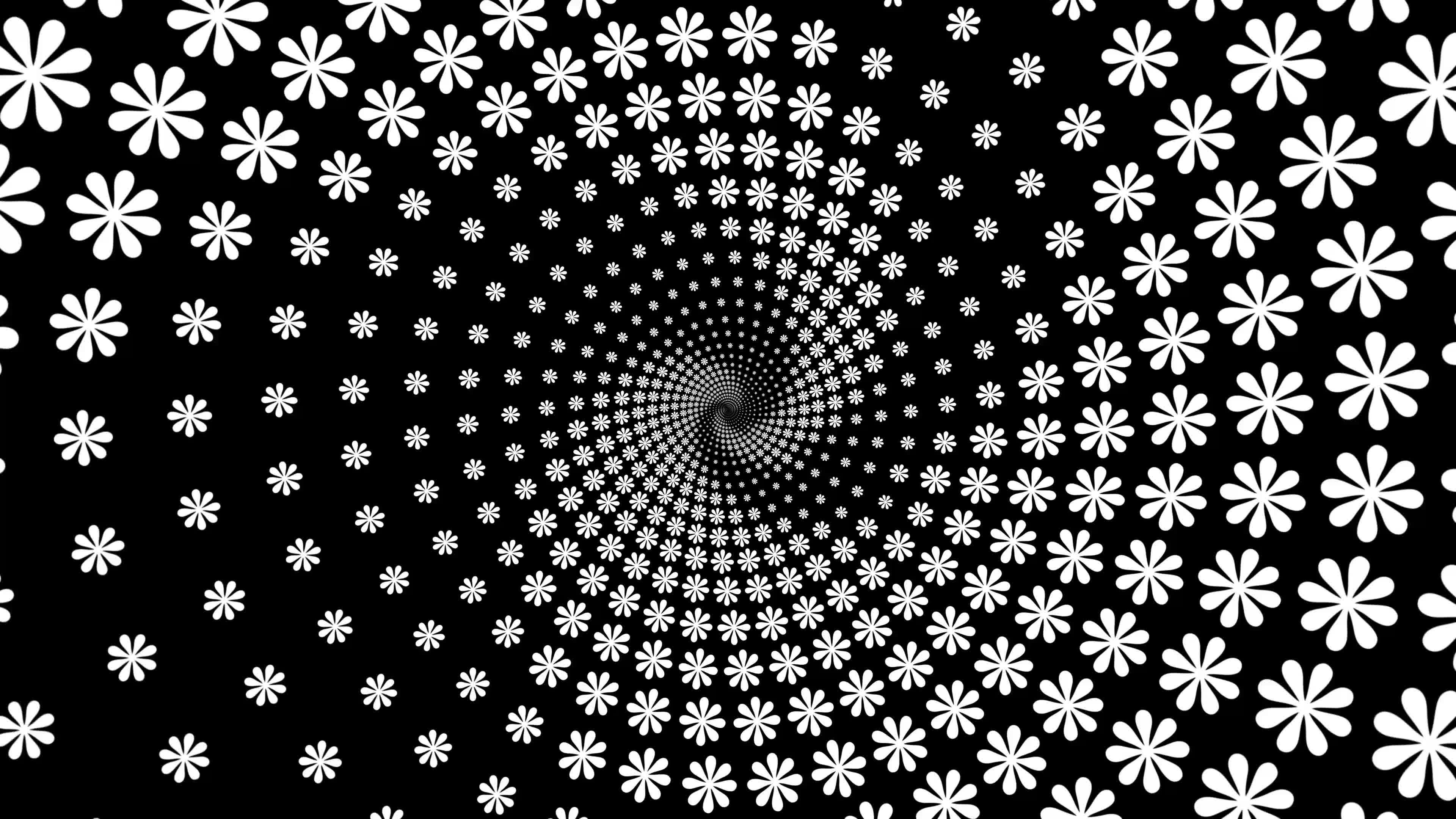 Twisting letter flower animation creative 9854558 Stock Video at Vecteezy