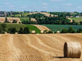 Cylinder-shaped hay bales in the fields of Alsace. photo