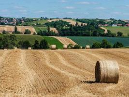 Cylinder-shaped hay bales in the fields of Alsace. photo