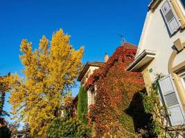 colores de otoño en la ciudad de estrasburgo. amarillo, rojo, naranja foto