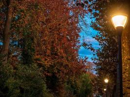 colores de otoño en la ciudad de estrasburgo. amarillo, rojo, naranja foto