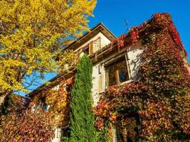 Autumn colors in the city of Strasbourg. Yellow, red, orange photo