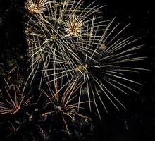 fuegos artificiales en honor del día de la bastilla el 14 de julio en estrasburgo foto