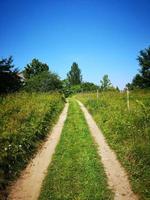 A road in the middle of a field photo