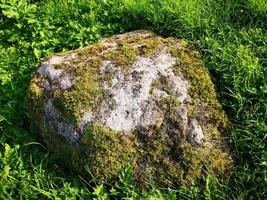 A stone in the grass covered with moss photo