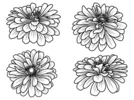 Flower Hand drawn sketch line art illustration vector