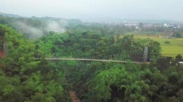 schöne luftaufnahme, hängebrücke im tropischen wald. video