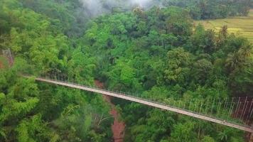 belle vue aérienne, pont suspendu dans la forêt tropicale. video